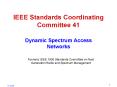 IEEE Standards Coordinating Committee 41 PowerPoint PPT Presentation
