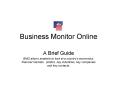 Business Monitor Online PowerPoint PPT Presentation