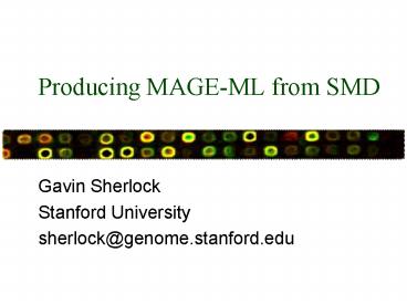 Producing MAGEML from SMD