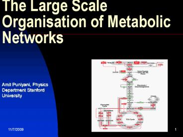 The Large Scale Organisation of Metabolic Networks