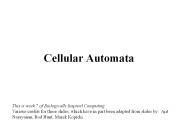 Cellular%20Automata