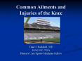Common Ailments and Injuries of the Knee PowerPoint PPT Presentation