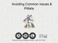 Avoiding Common Issues PowerPoint PPT Presentation