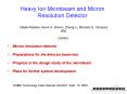 Heavy Ion Microbeam and Micron Resolution Detector PowerPoint PPT Presentation