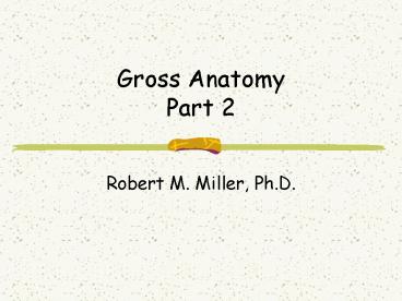 Gross Anatomy Part 2