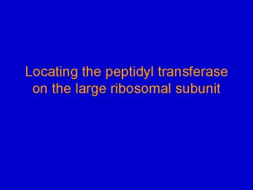 Locating the peptidyl transferase on the large ribosomal subunit