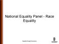National Equality Panel Race Equality PowerPoint PPT Presentation
