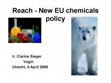 Reach New EU chemicals policy