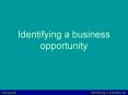 Identifying a business opportunity PowerPoint PPT Presentation
