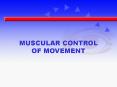 SKELETAL MUSCLE STRUCTURE PowerPoint PPT Presentation