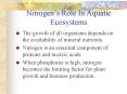 Nitrogens Role In Aquatic Ecosystems PowerPoint PPT Presentation