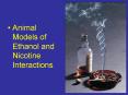 Animal Models of Ethanol and Nicotine Interactions PowerPoint PPT Presentation