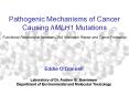 Pathogenic Mechanisms of Cancer Causing hMLH1 Mutations Functional Relationship between DNA Mismatch Repair and Tumor Formation PowerPoint PPT Presentation