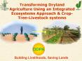 Transforming Dryland Agriculture Using an Integrated Ecosystems Approach PowerPoint PPT Presentation