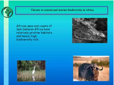 Presentacin de PowerPoint