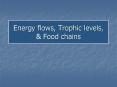 Energy flows, Trophic levels, PowerPoint PPT Presentation
