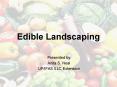 Edible Landscaping PowerPoint PPT Presentation