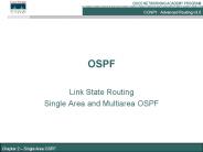 OSPF