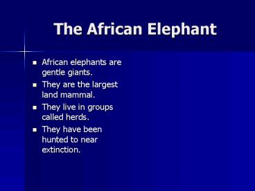 The African Elephant