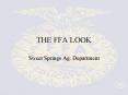 THE FFA LOOK PowerPoint PPT Presentation