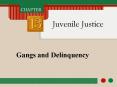 Gangs and Delinquency PowerPoint PPT Presentation
