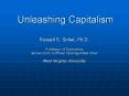 Unleashing Capitalism PowerPoint PPT Presentation