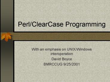 Perl/ClearCase Programming