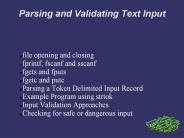 Parsing and Validating Text Input