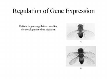 Defects in gene regulation can alter