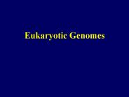 Eukaryotic Genomes
