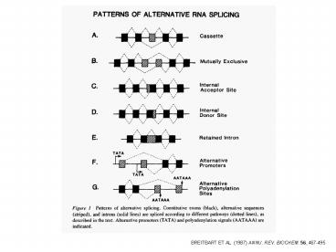 BREITBART ET AL' 1987 ANNU' REV' BIOCHEM' 56, 467495