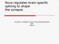 Nova regulates brainspecific splicing to shape the synapse PowerPoint PPT Presentation