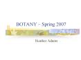 BOTANY Spring 2007 PowerPoint PPT Presentation