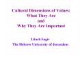Cultural Dimensions of Values: What They Are and Why They Are Important PowerPoint PPT Presentation