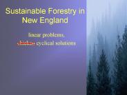 Sustainable Forestry in New England