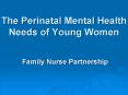 The Perinatal Mental Health Needs of Young Women PowerPoint PPT Presentation