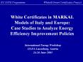 White Certificates in MARKAL Models of Italy and Europe: Case Studies to Analyze Energy Efficiency Improvement Policies PowerPoint PPT Presentation