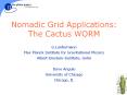 Nomadic Grid Applications: The Cactus WORM PowerPoint PPT Presentation