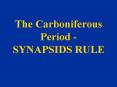 The Carboniferous Period - SYNAPSIDS RULE PowerPoint PPT Presentation
