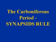 The Carboniferous Period - SYNAPSIDS RULE