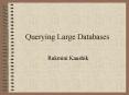 Querying Large Databases PowerPoint PPT Presentation