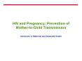 HIV and Pregnancy: Prevention of MothertoChild Transmission PowerPoint PPT Presentation