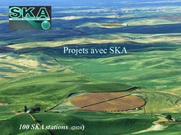 100 SKA stations (2020)