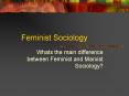 Feminist Sociology PowerPoint PPT Presentation