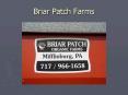 Briar Patch Farms PowerPoint PPT Presentation