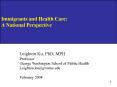 Immigrants and Health Care: Highlights of Issues PowerPoint PPT Presentation