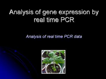 presentation player overlay