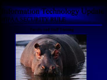 Information Technology Update