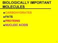 BIOLOGICALLY IMPORTANT MOLECULES PowerPoint PPT Presentation