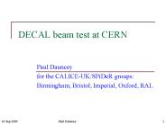 DECAL beam test at CERN
